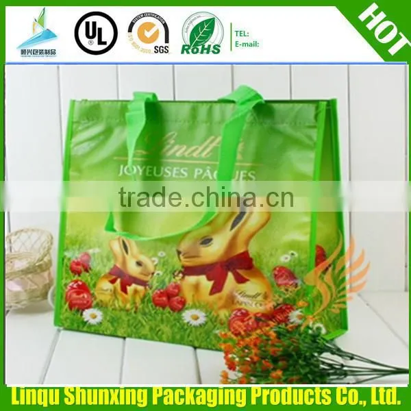 eco-friendly shopping bag/non woven shopping bag/ bag shopping