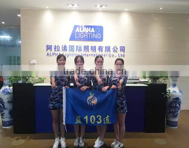 20w lights for home lamparas of ceiling aluminium material dimmable cob chip light