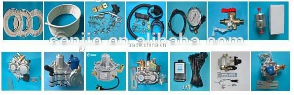 High quality CNG single point system