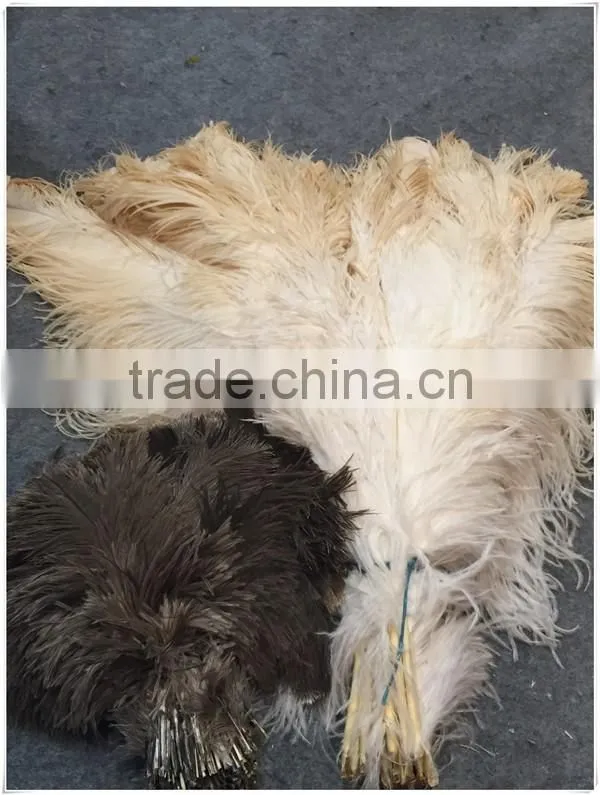 2016 Professional cleaning supply Extendable Ostrich feather duster office workplace