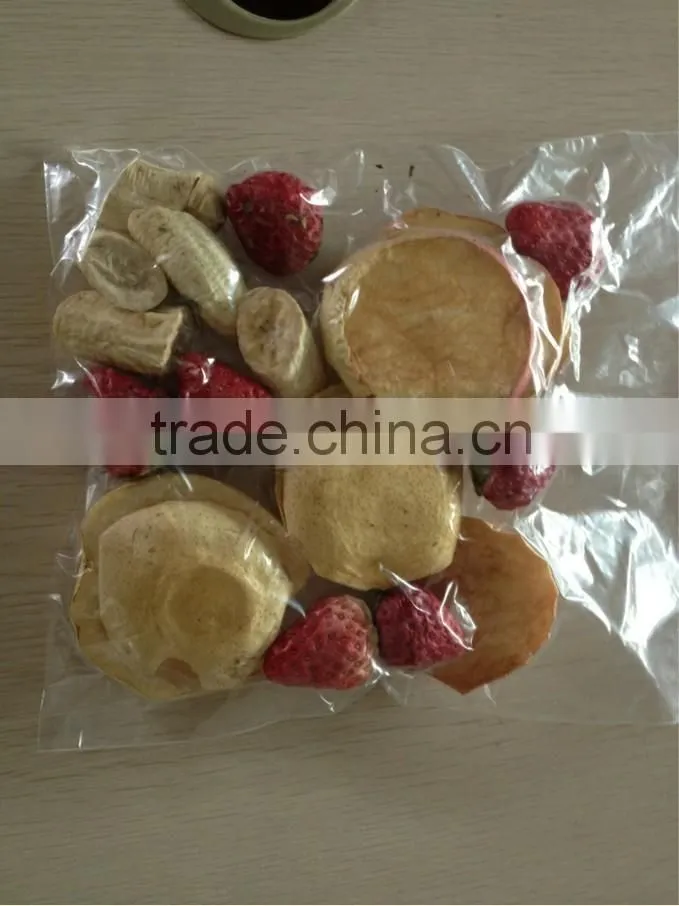 ZG-1Vacuum mini Freeze Dryer