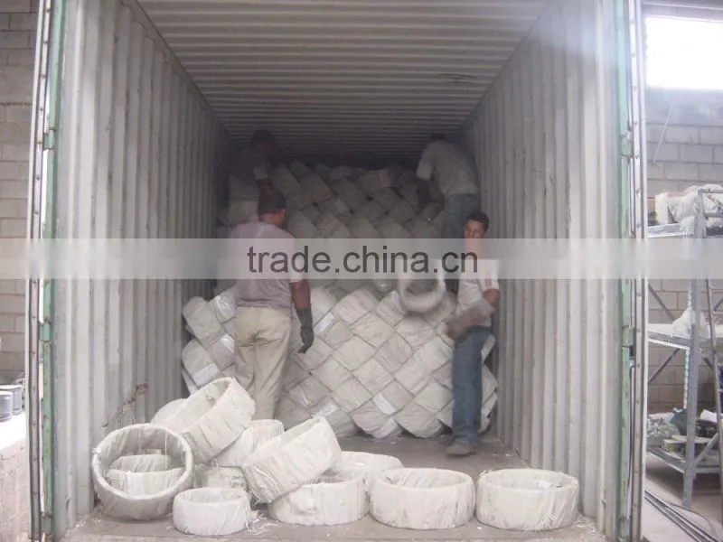 Electro-galvanized razor wire/razor barbed wire mesh fence with surprise price