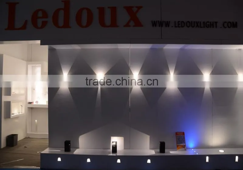 WWS0202-2 adjustable indoor/outdoor led wall light