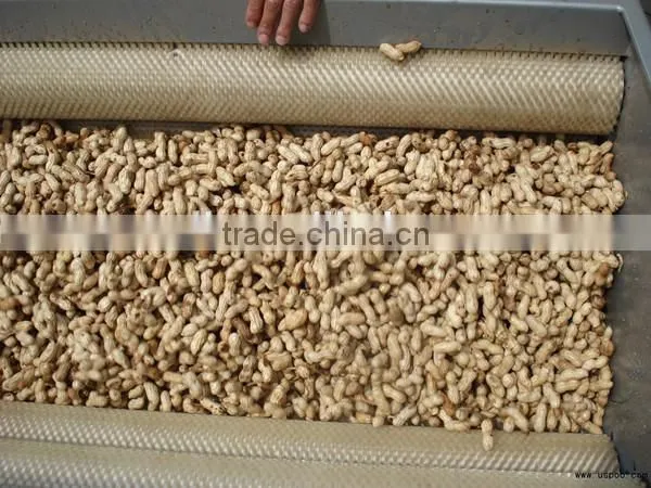 Hot sale potato garlic cleaning peeling machine for commercial use