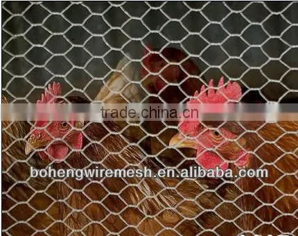 HIGH QUALITY POULTRY HEXAGONAL WIRE MESH