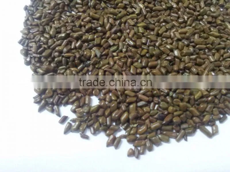 Best Jue Ming Zi in Chinese Cassia Tora Seed, Cassia Tora seeds