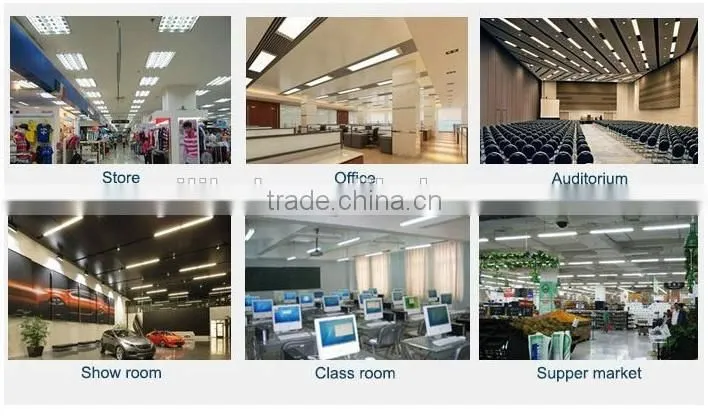 UL/DLC/CE/SAA/TUV 1200mm led tube 5 year warranty high brightness chips internal isolated power Driver SMD2835 led