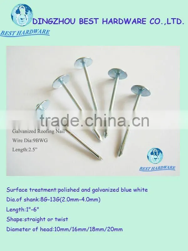 BWG9X2.5" roofing nail