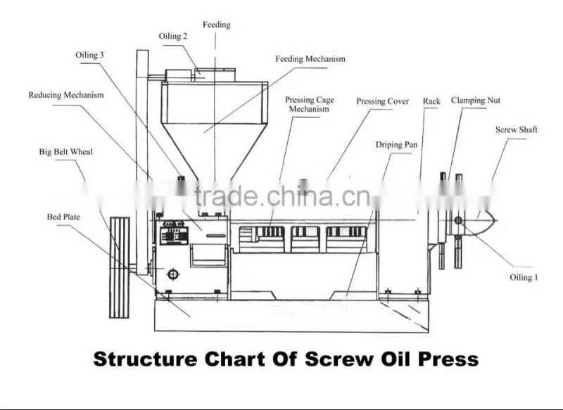 Oil Making Machine for Household, Farm, Small Oil Factory price