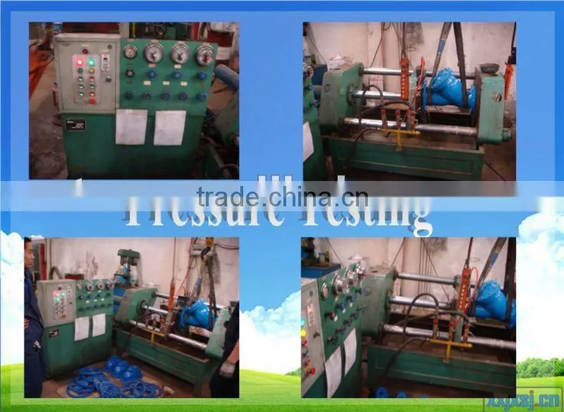 DN40~DN300 DIN Cast Iron/ductile iron Y Type Strainer