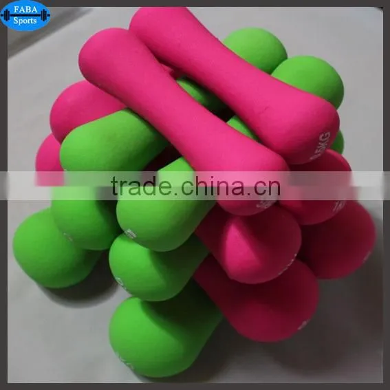 Fashion Colorful Fitness Dumbbell Color Vinyl Coated Dumbbell
