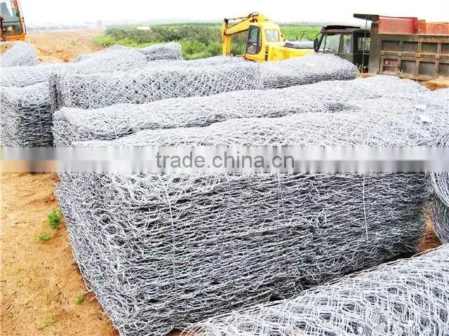 2015hot sale china supplier low price Stainless Steel Hexagonal Wire Netting