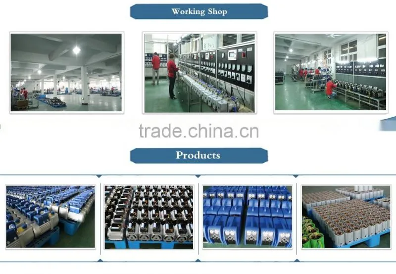 High quality Electronic Refrigerant Charing Scale CS-100