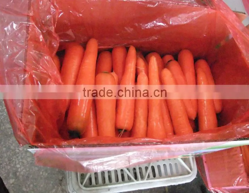 Chinese Carrot Supplier