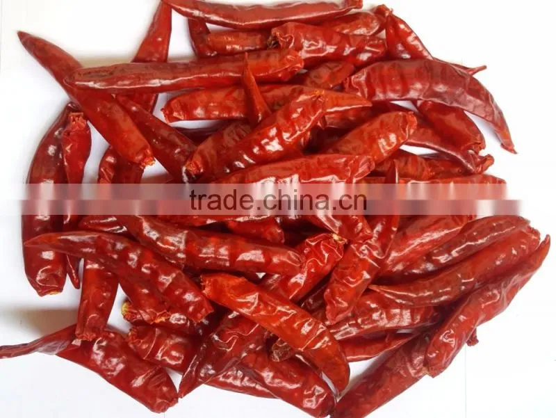 Exporters of Sanam Chilli/S 4 Chilli/S 334 Chilli