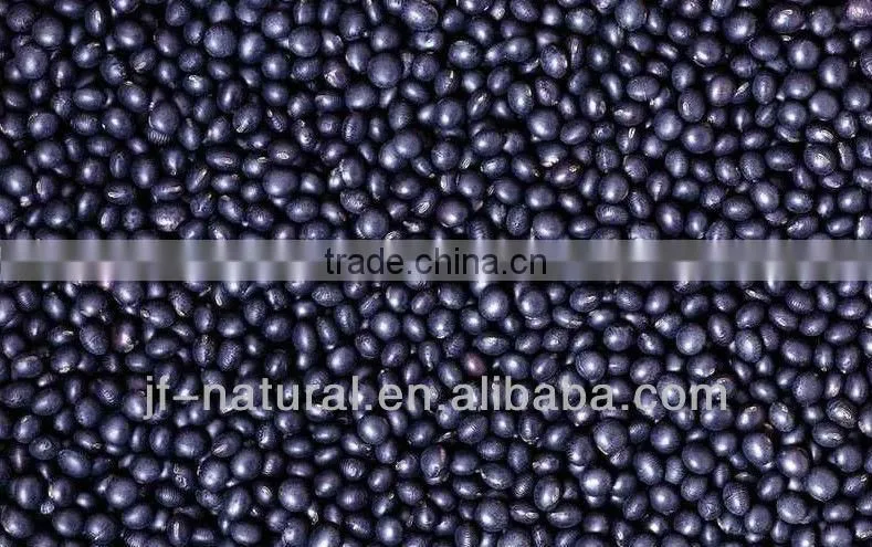 Natural Black Bean Hull Extract