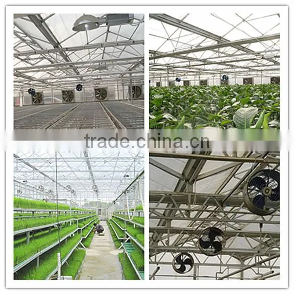 JINLONG air circulation fan price,fan circulation cooling