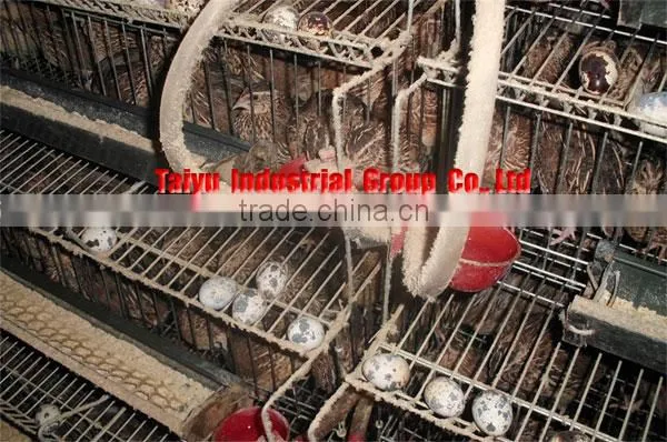 High Quality Quail Cage For Sale