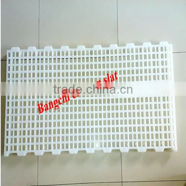 Plastic chicken Slat for chicken house