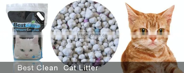 best clean brand flavor cat sand pet litter