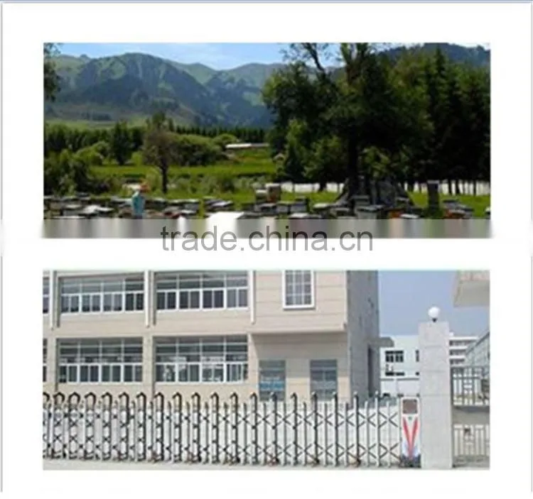 2015 newest natural pollution-free propolis soft capsule online wholesale