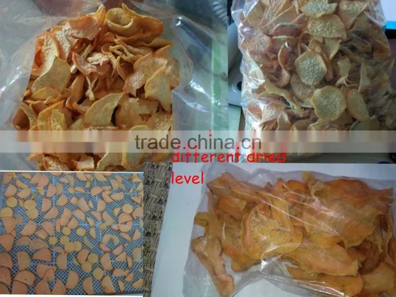 Professional Manufacture Vegetable And Fruit Processing Machine(Equipment /Line)/ dry fruits/ dried food processing machiney