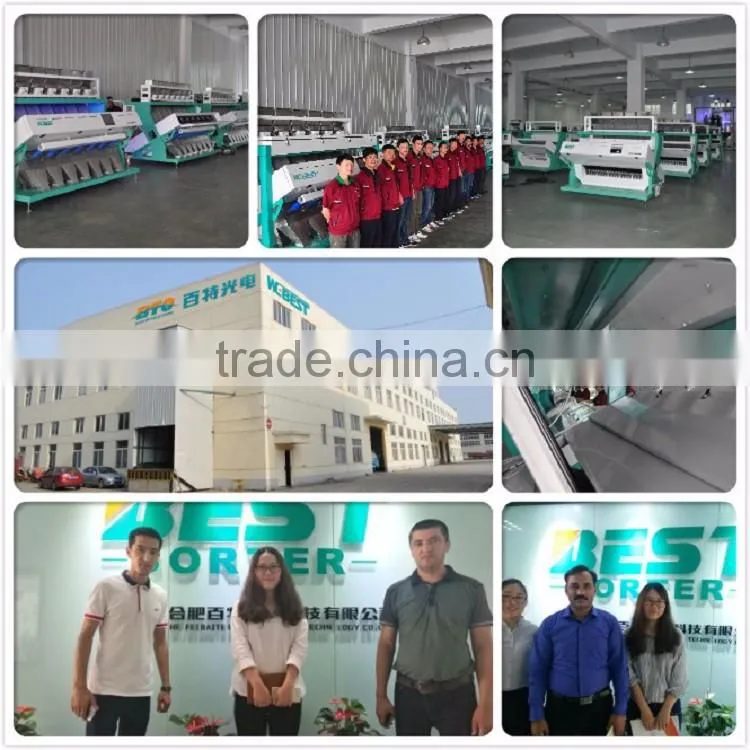 Hot sale and prefect quality coffee bean color sorter