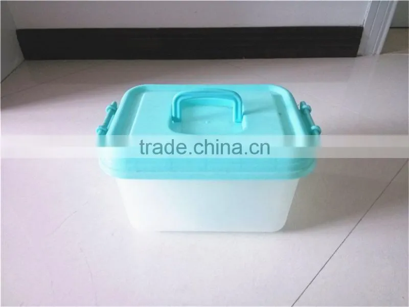Plastic Sundries case