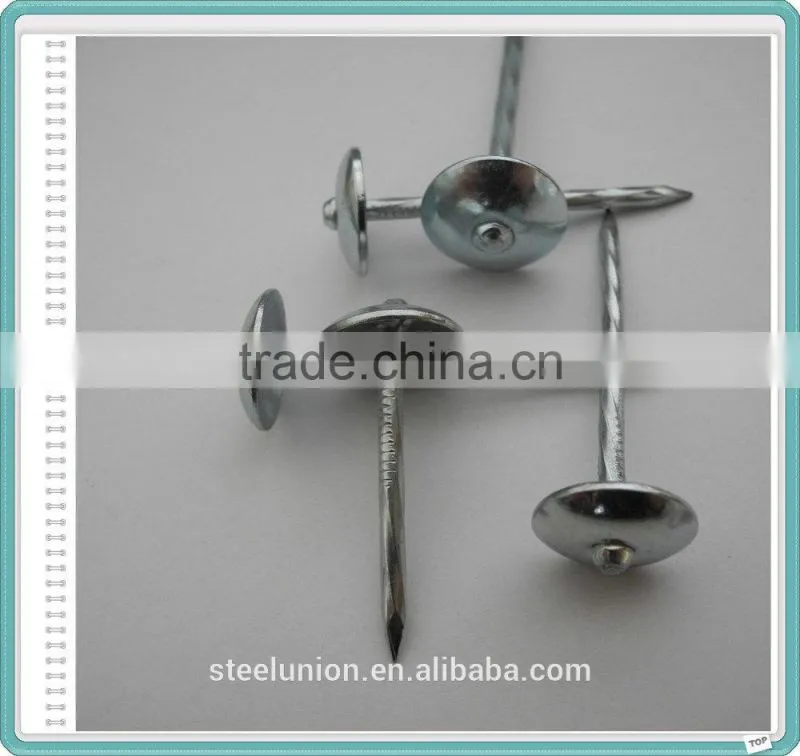 Electro Galvanized Roofing Nails Price/Umbrella Roofing Nails