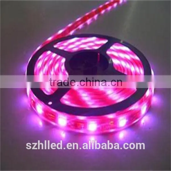 Waterproof Flexible color changing flexible 12 volt best flex price led neon strip