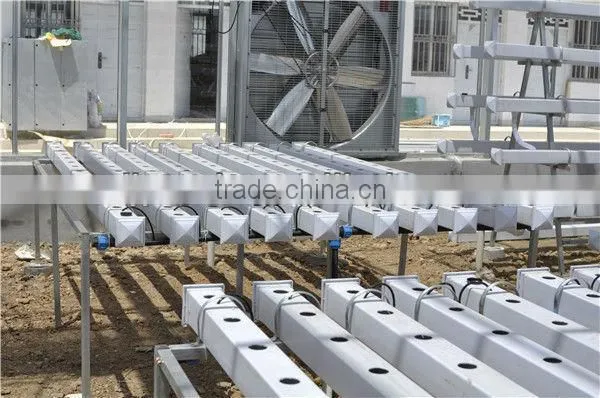 Good Quality Hydroponics Greenhouse