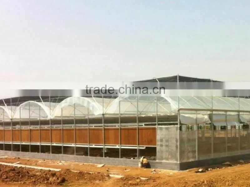 plastic greenhouse manufacturers