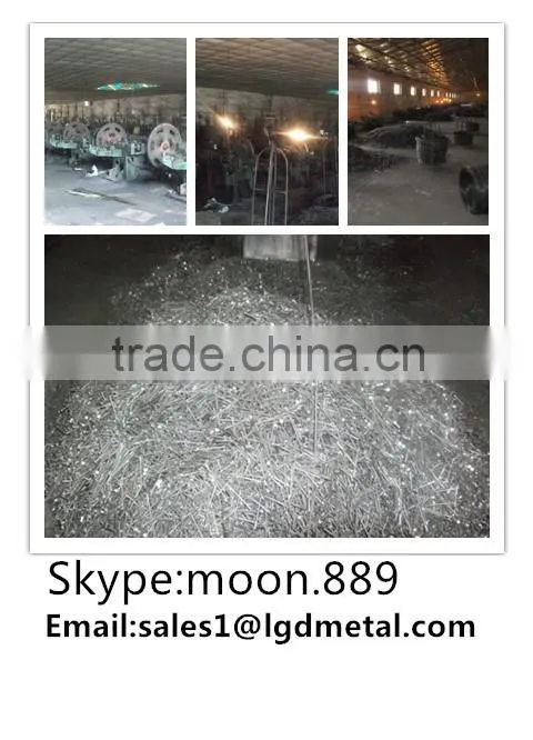 Good manufacturer of common nail/best price for nails