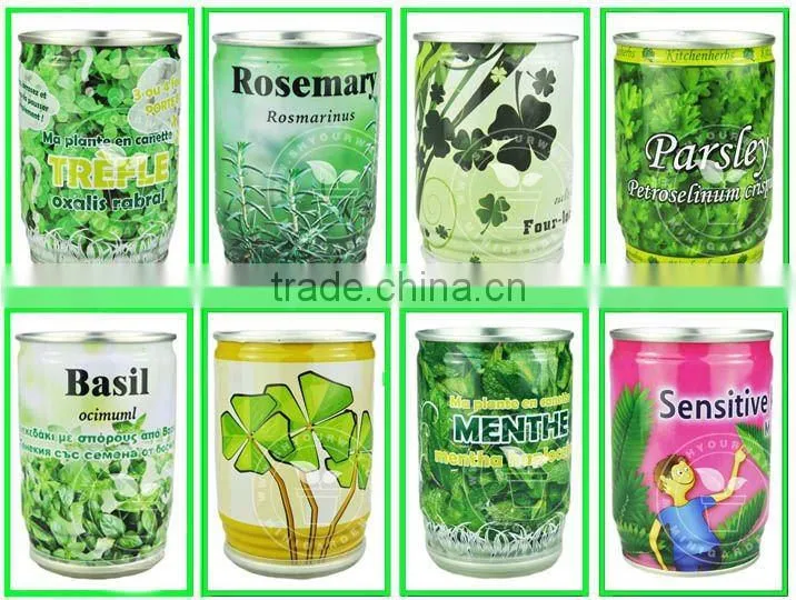 flower can,can flower,flower tin