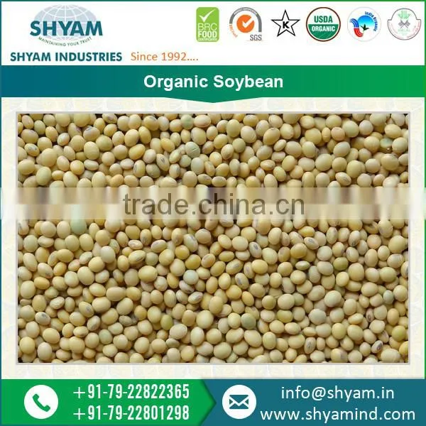 Organic Soybean