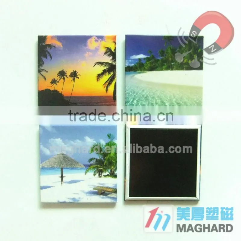Indian tourist souvenir iron fridge magnets