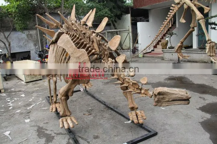 High Quality Simulated Dinosaur Skeleton Model Of Tuojiangosaurus