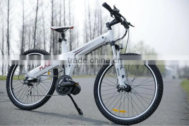 Small city e bike 2014 new design brushless motor wheel e bike