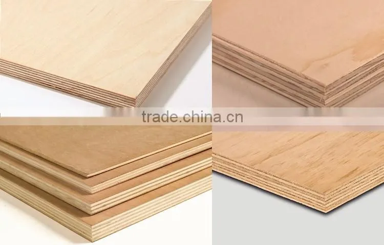 Edge-Glued Panel (Common: 21/32 in. x 24 in. x 4 ft.; Actual: 0.656 in. x 23.25 in. x 48 in.)