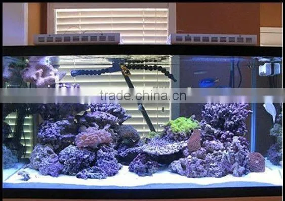 2 years warranty aquarium led lighting