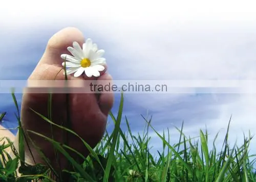 Personal health foot care product