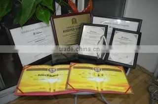 Hangzhou Delshine Industry & Trading Co.,ltd company overview - view 3
