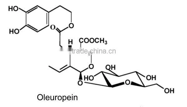 natural Olive Leaf Extract 20% 40% Oleuropein