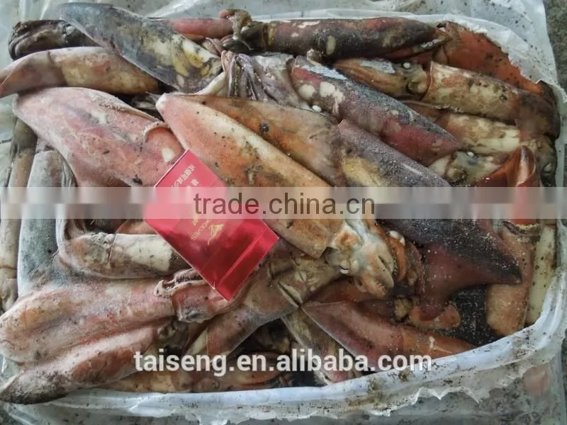 California Frozen Fresh Whole Round Squid With Price