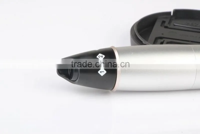 Factory Direct sale 12 needles cordless derma pen