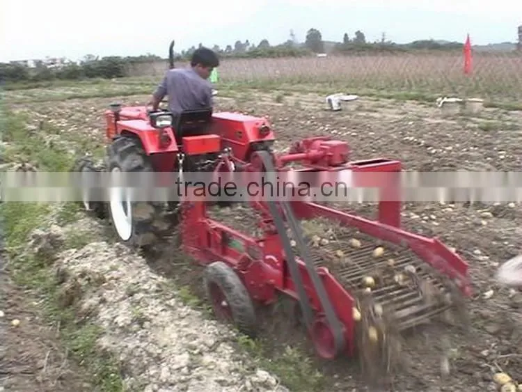 High efficiency small potato harvester