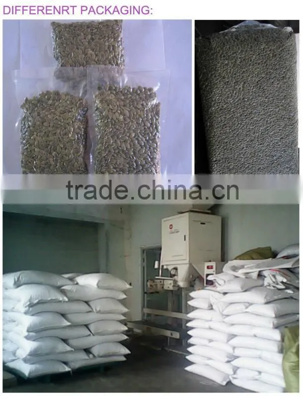 Chinese Sunflower Seeds 363