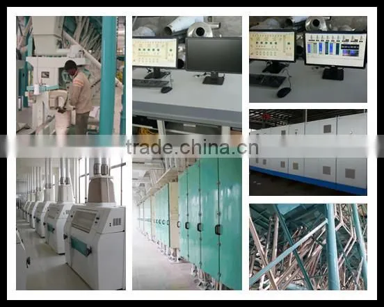 20T corn flour mill machine of maize milling machine for Uganda