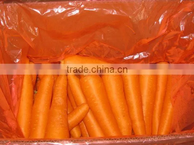 Chinese fresh carrot