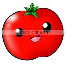 Good Taste Tomato Ketchup Concentrated in Plastic Bottle